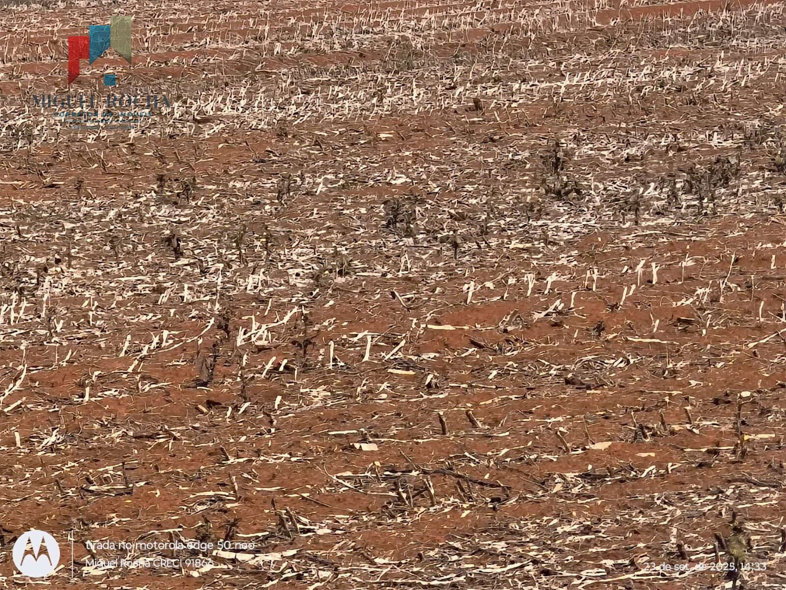 Fazenda à venda com 2 quartos - Foto 3