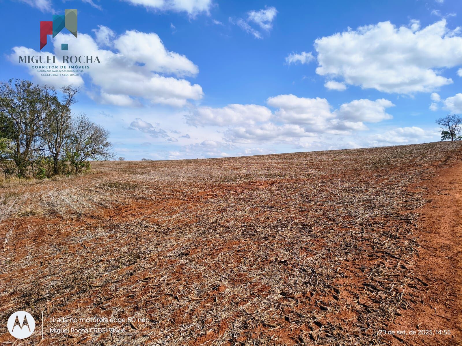 Fazenda à venda com 2 quartos - Foto 6