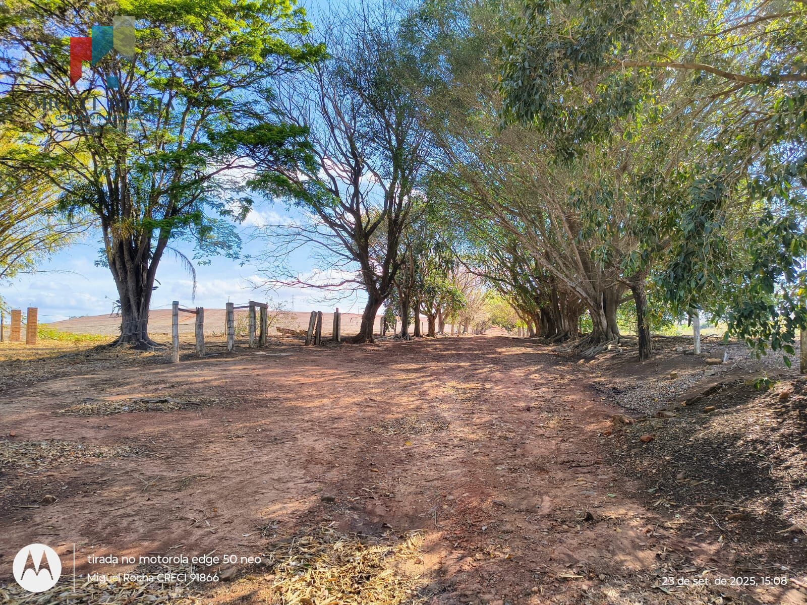 Fazenda à venda com 2 quartos - Foto 18