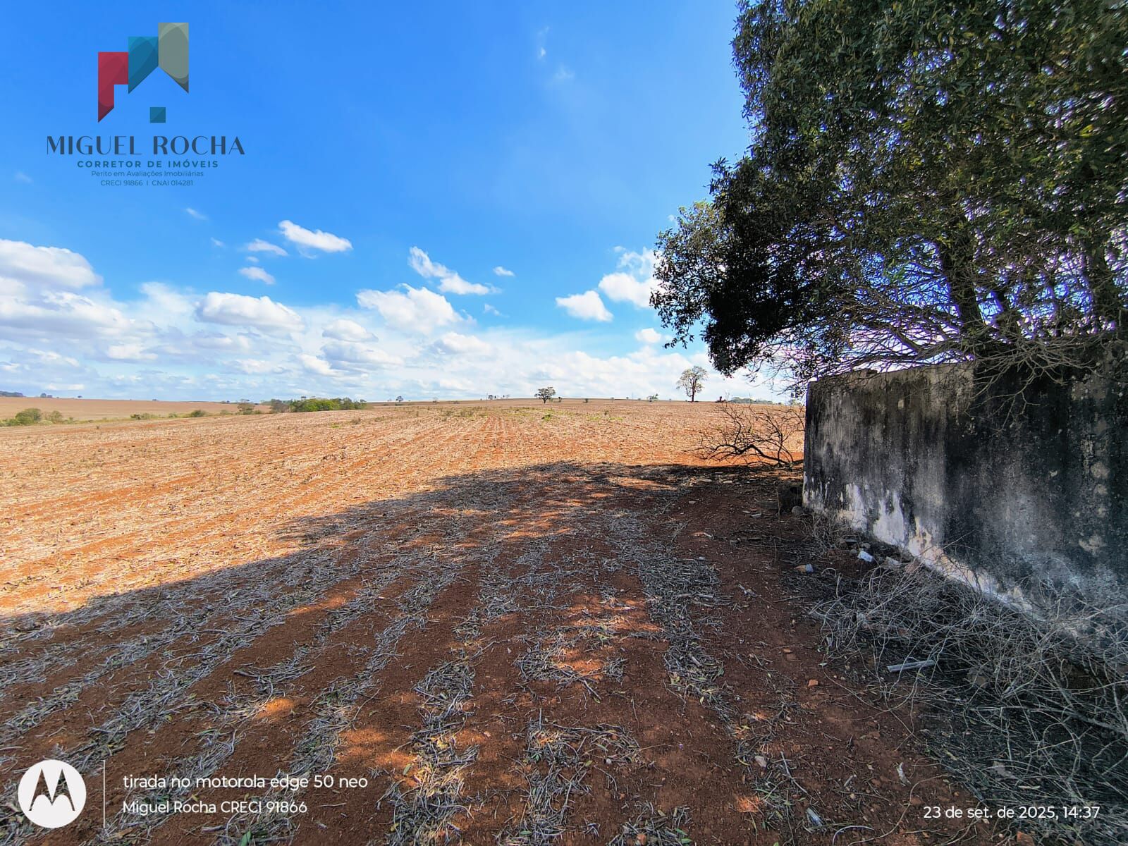 Fazenda à venda com 2 quartos - Foto 17
