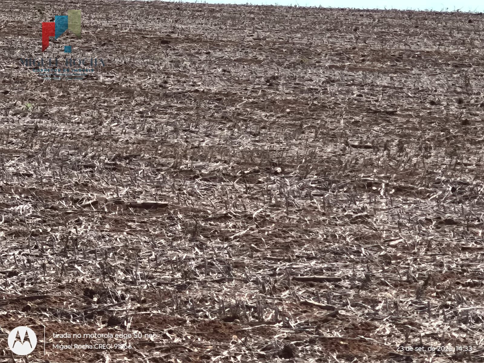 Fazenda à venda com 2 quartos - Foto 4