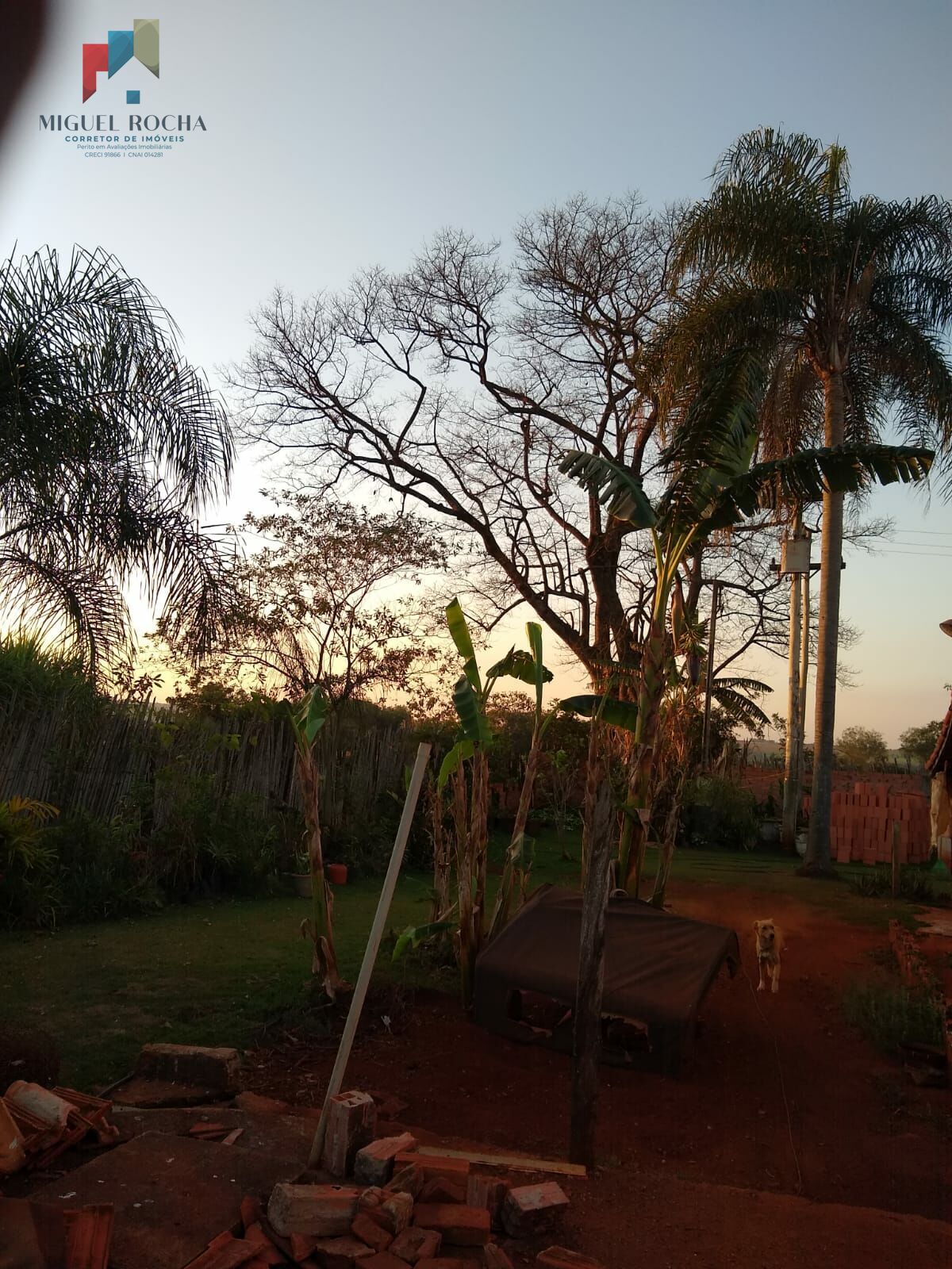 Fazenda à venda com 2 quartos, 2000m² - Foto 16