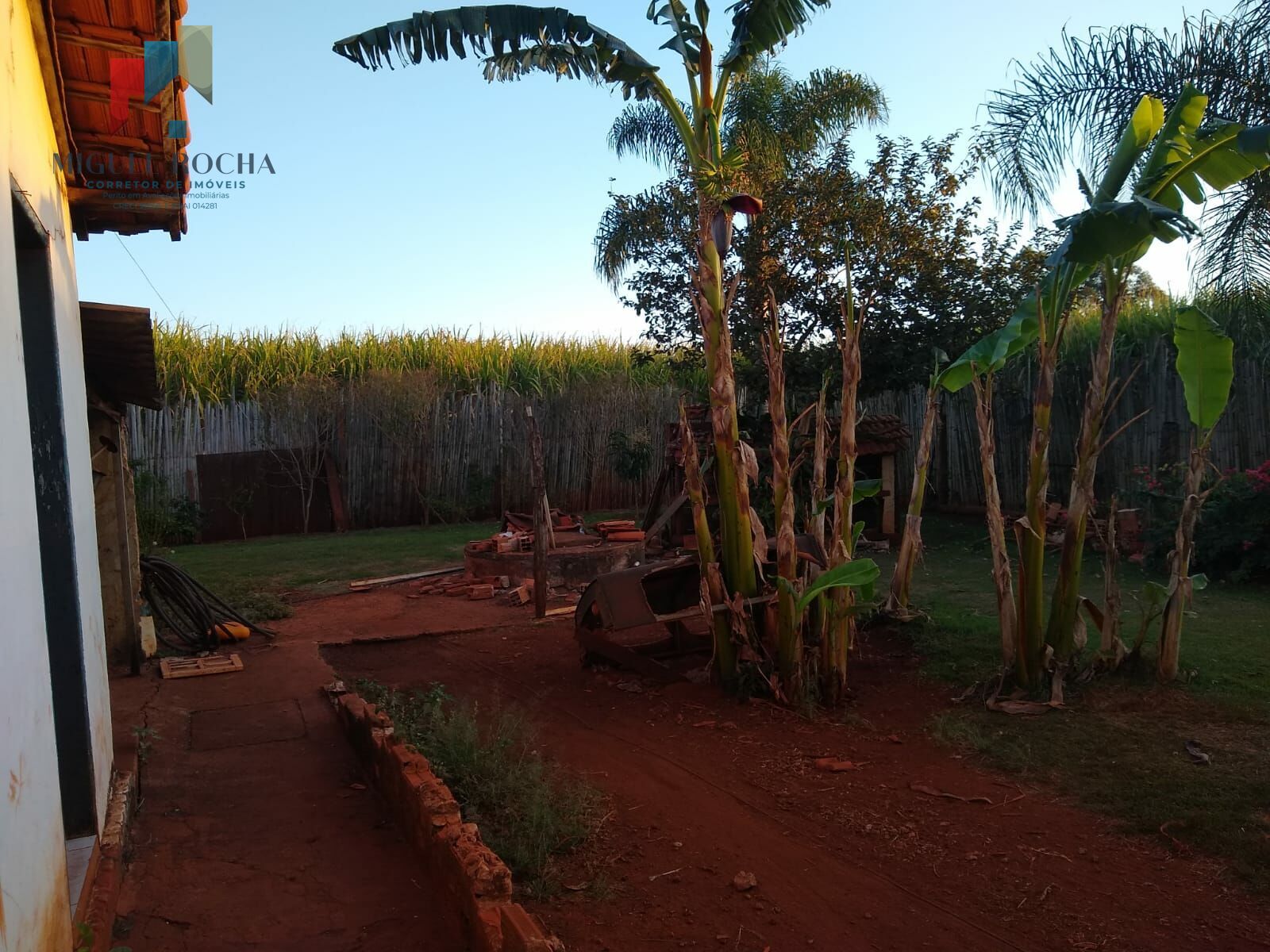 Fazenda à venda com 2 quartos, 2000m² - Foto 6