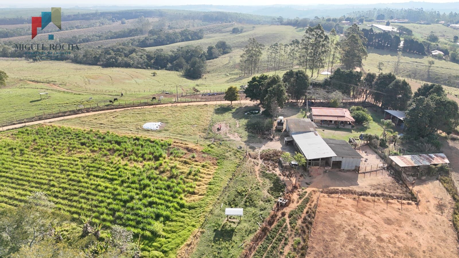 Sítio, 2 quartos, 66 hectares - Foto 15