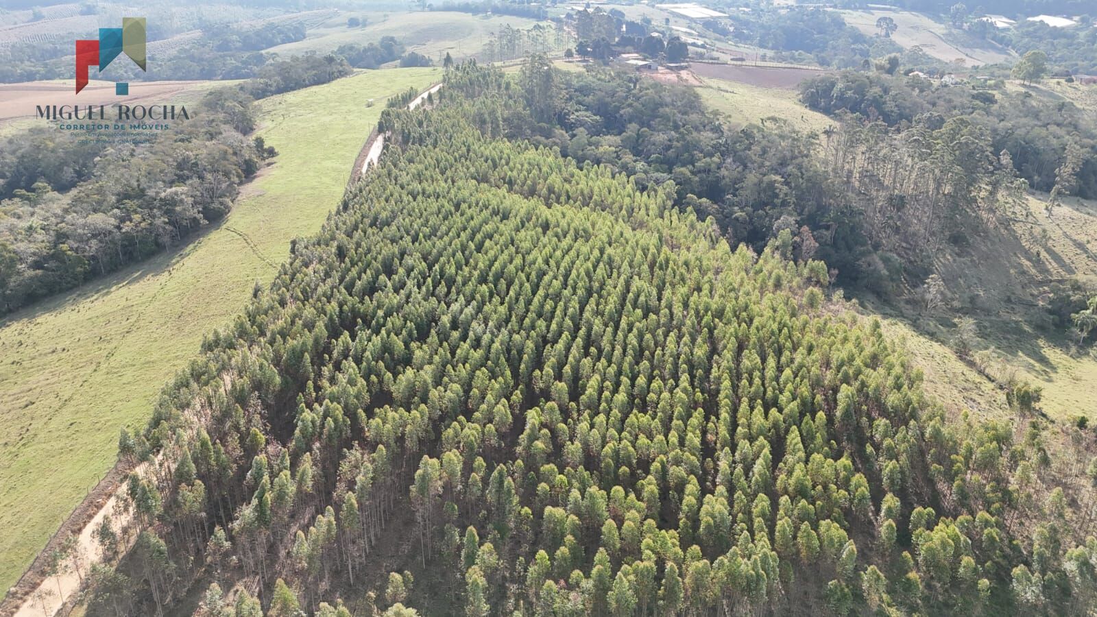 Sítio, 2 quartos, 66 hectares - Foto 9