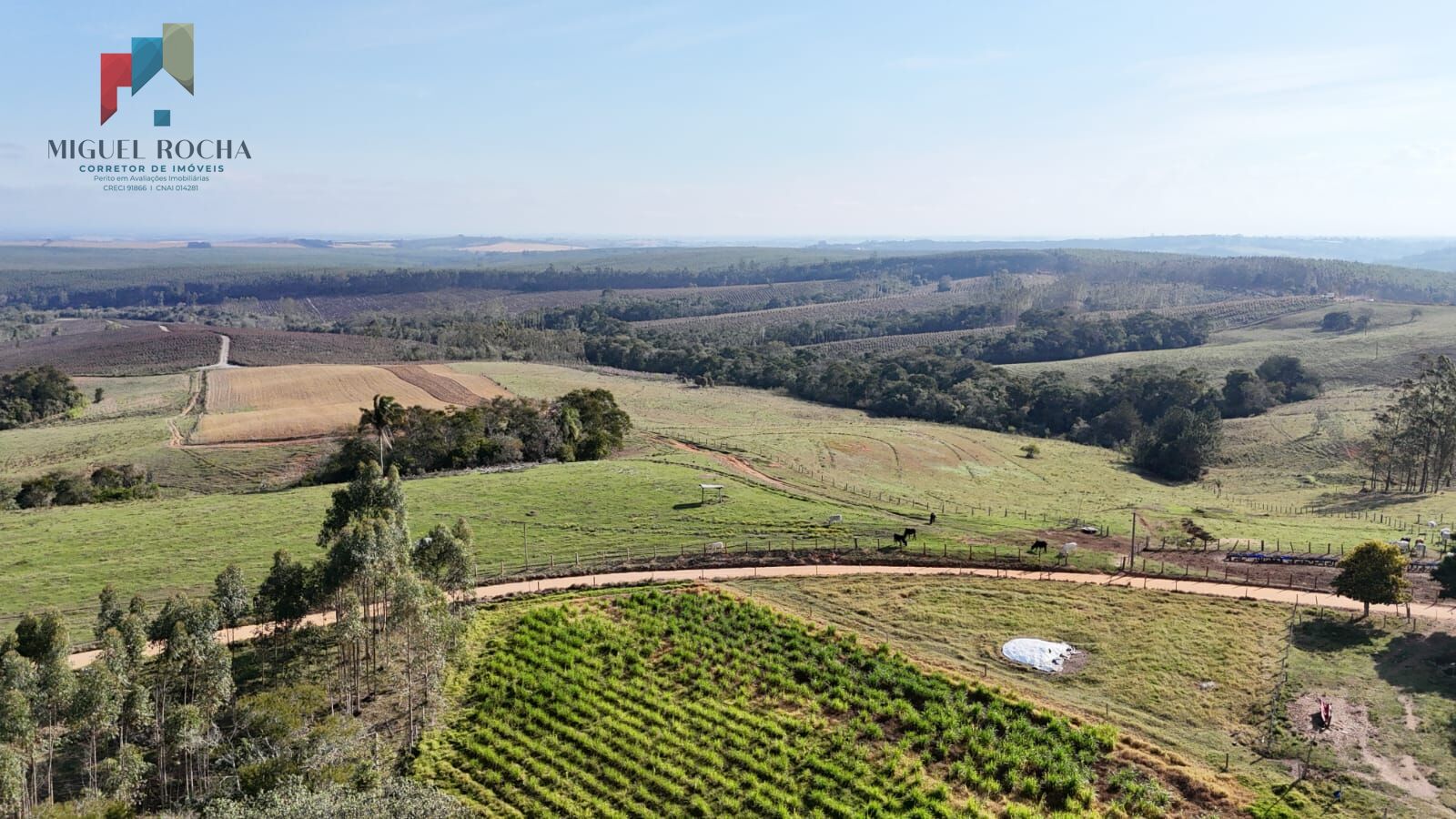 Sítio, 2 quartos, 66 hectares - Foto 10