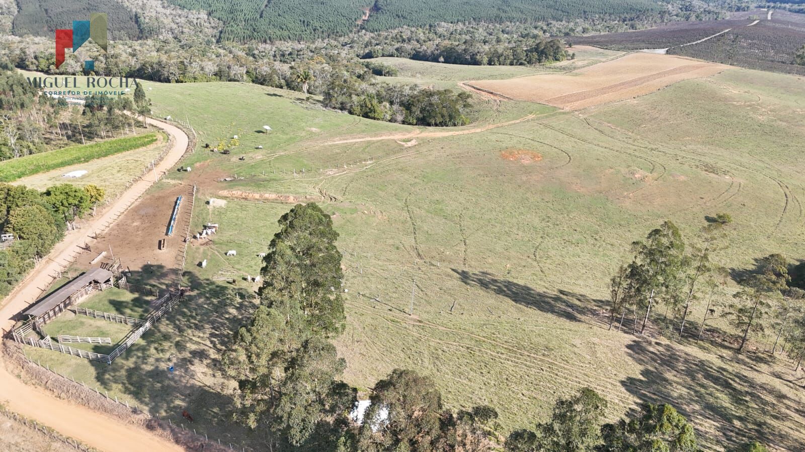 Sítio, 2 quartos, 66 hectares - Foto 6