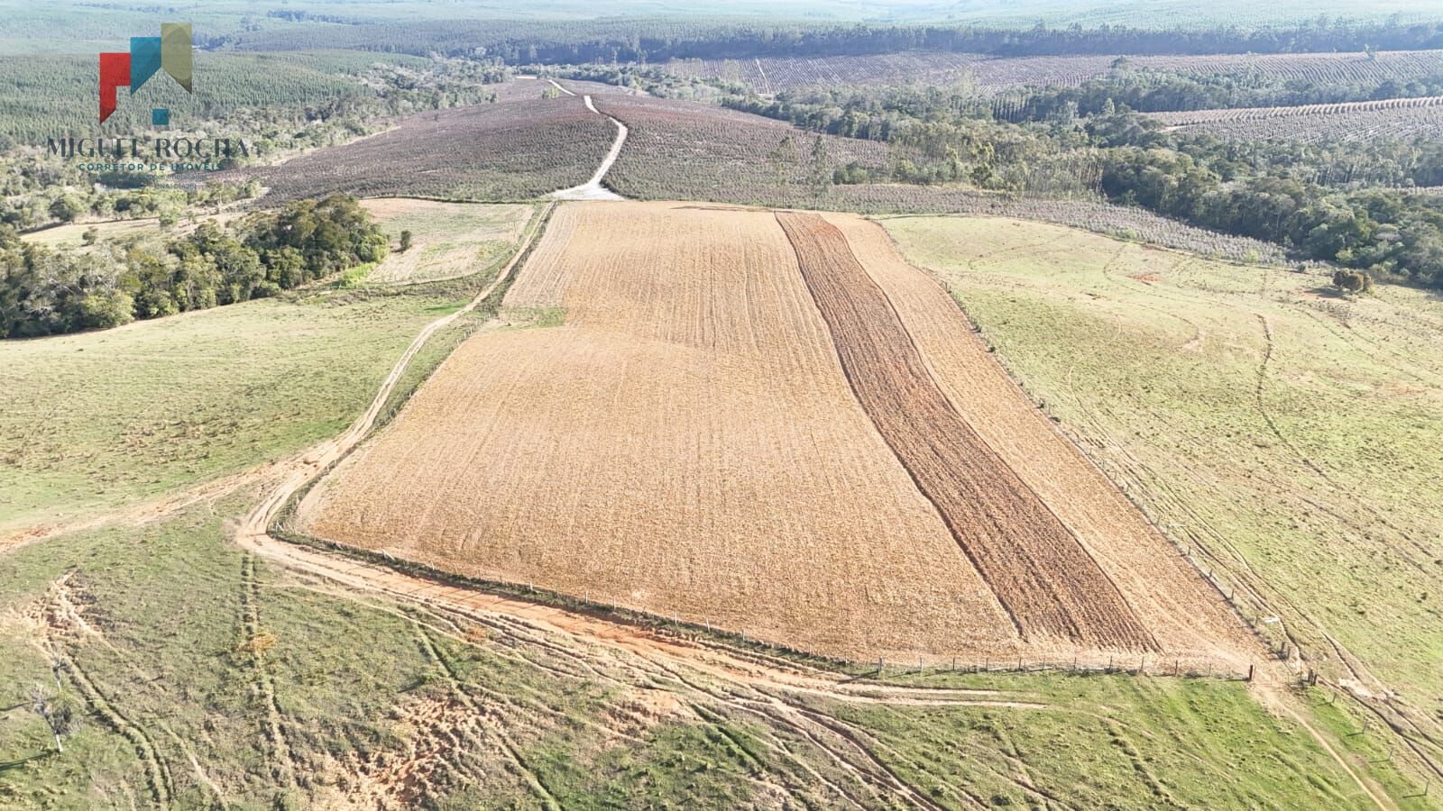 Sítio, 2 quartos, 66 hectares - Foto 3
