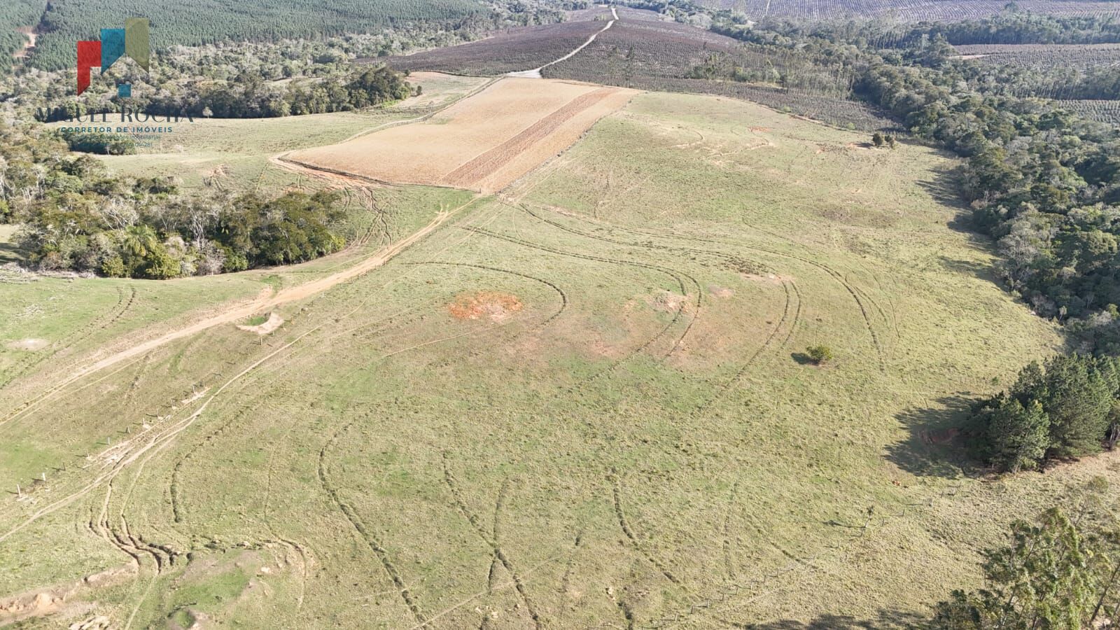 Sítio, 2 quartos, 66 hectares - Foto 4
