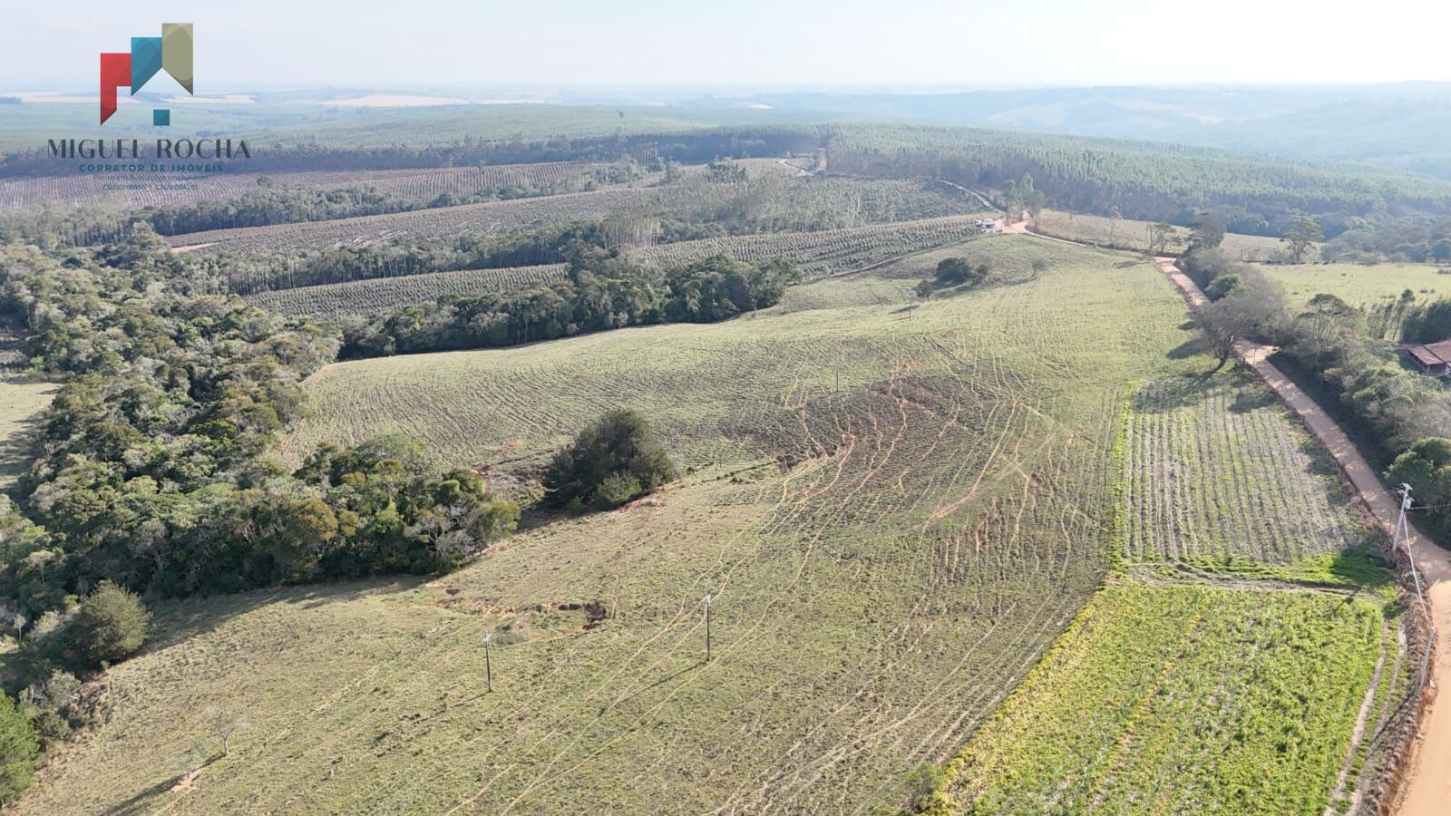 Sítio, 2 quartos, 66 hectares - Foto 11