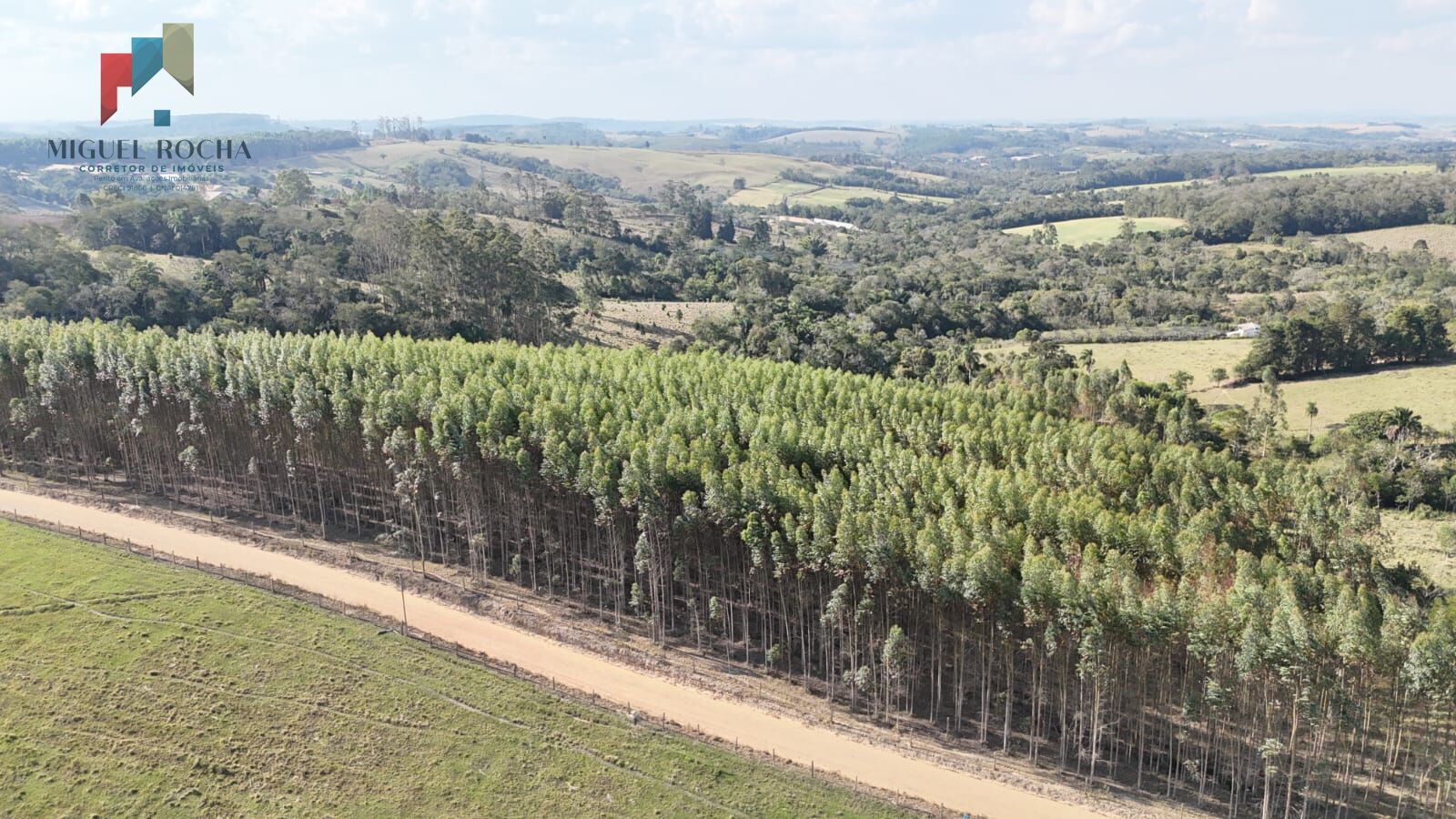 Sítio, 2 quartos, 66 hectares - Foto 8