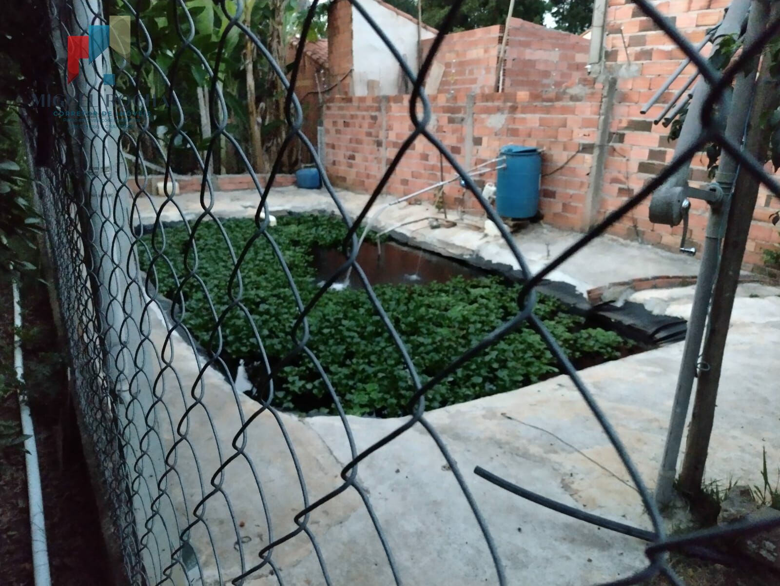 Chácara, 1 quarto, 800 m² - Foto 11