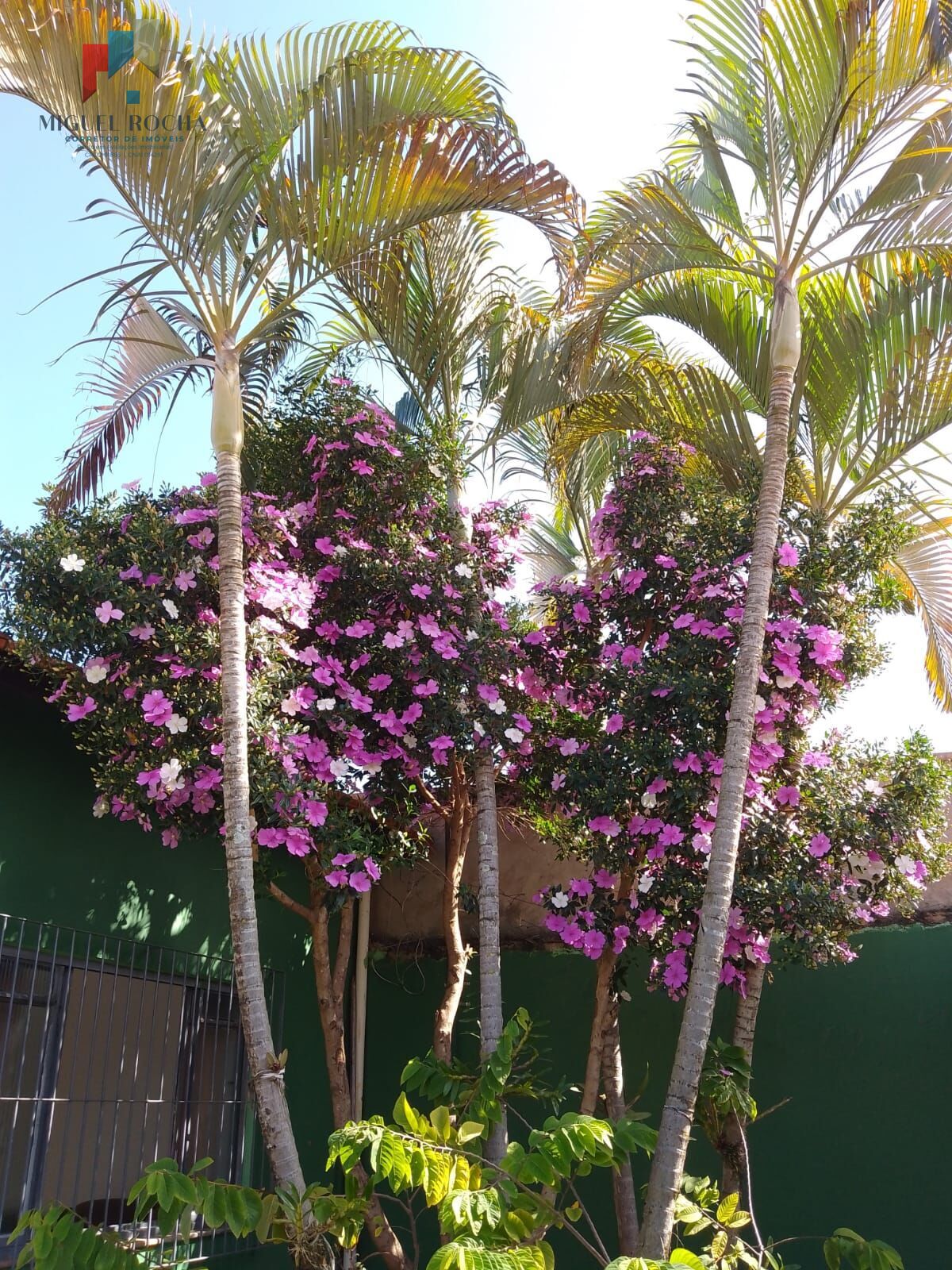 Casa, 3 quartos, 120 m² - Foto 20