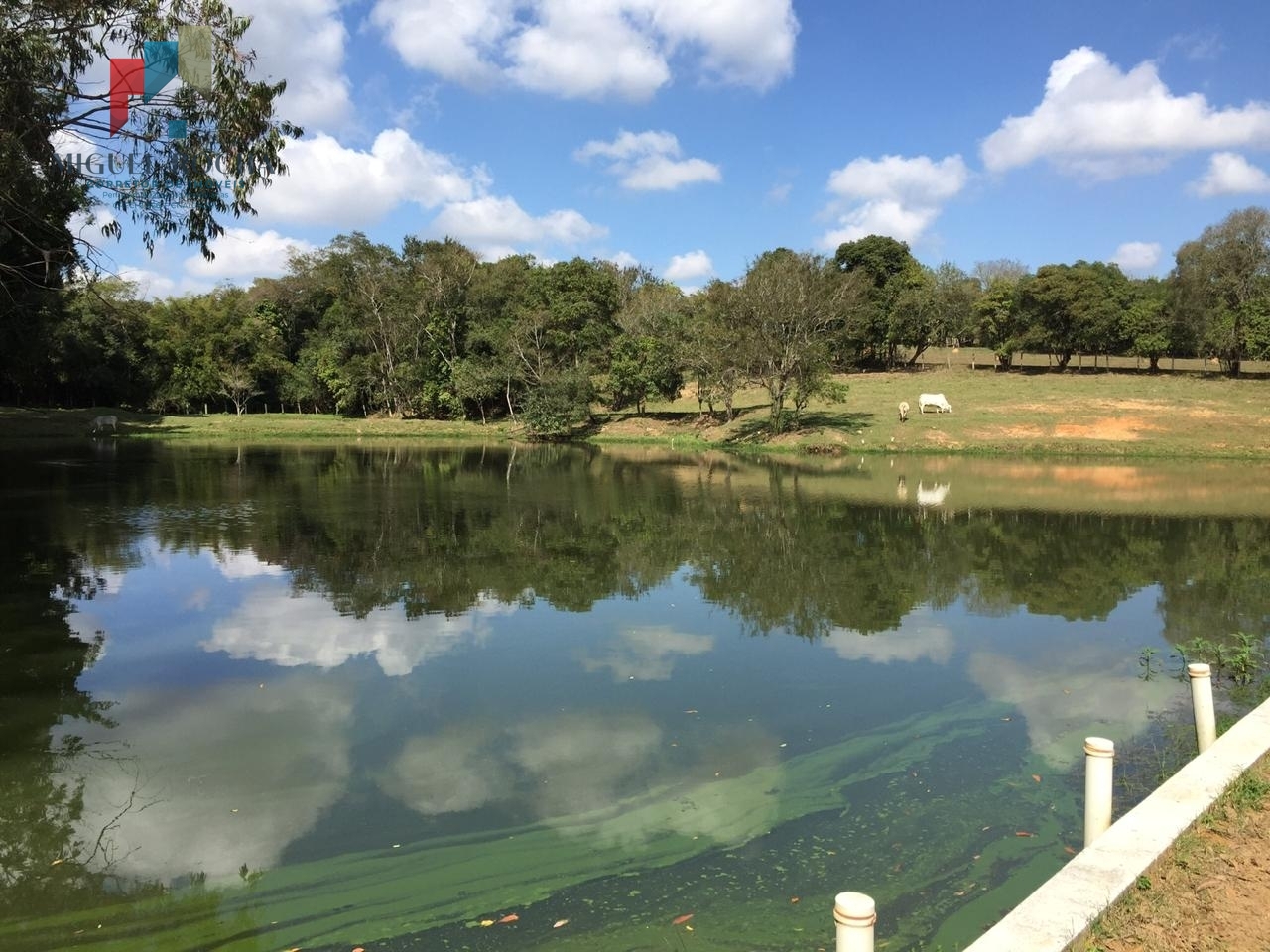 Fazenda à venda com 6 quartos, 145200m² - Foto 44