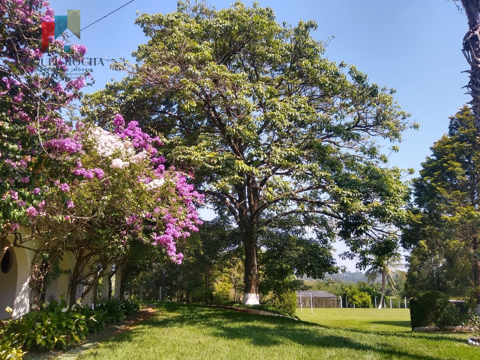 Fazenda à venda com 6 quartos, 145200m² - Foto 9