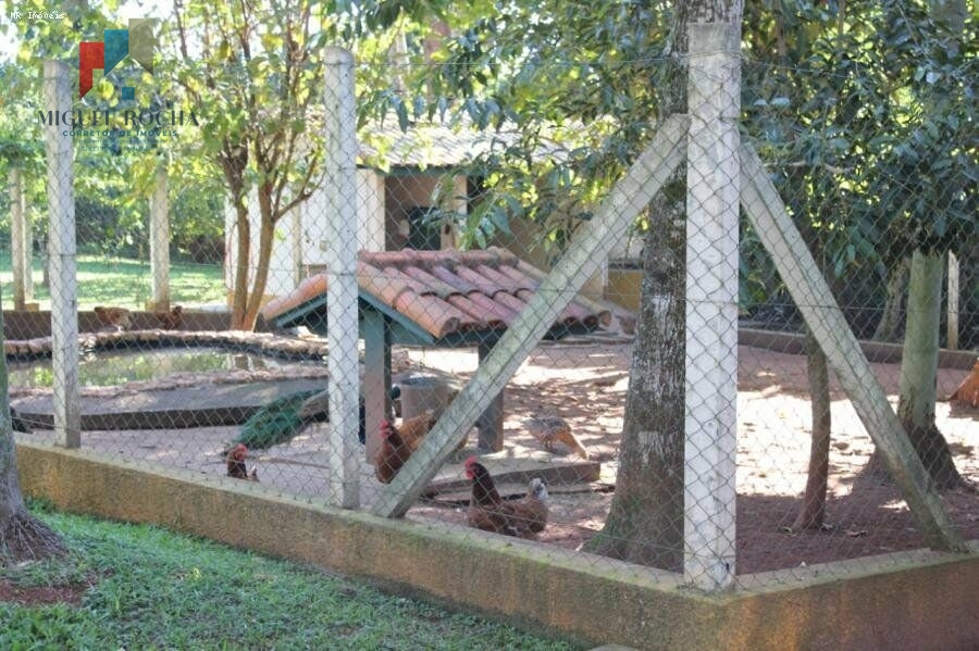 Fazenda à venda com 3 quartos, 20000m² - Foto 28