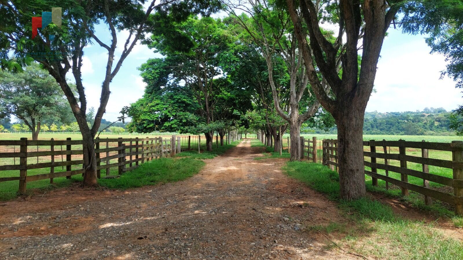 Fazenda à venda com 2 quartos, 919600m² - Foto 6