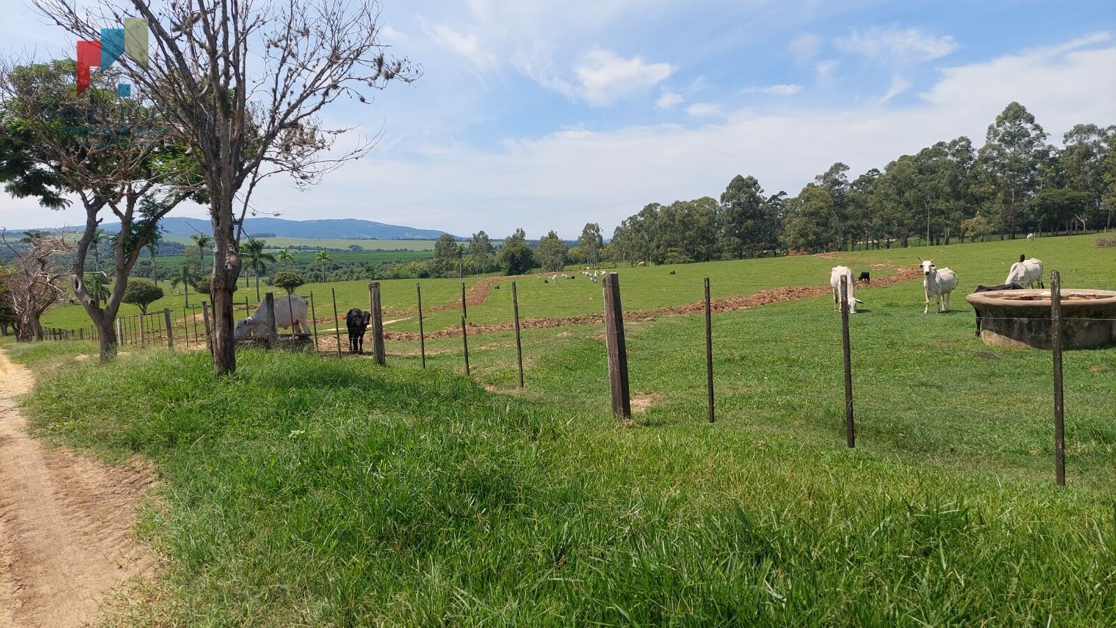 Fazenda à venda com 2 quartos, 919600m² - Foto 4