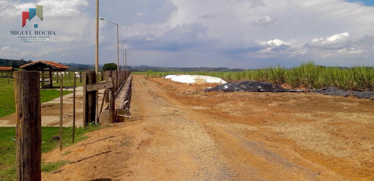 Fazenda à venda com 2 quartos, 919600m² - Foto 12