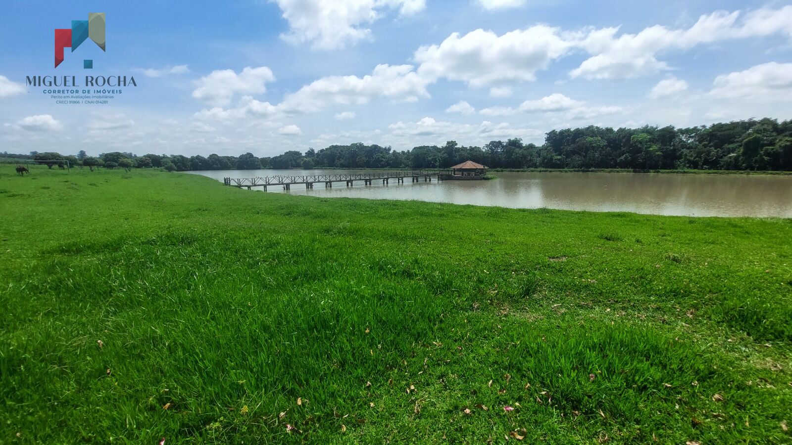 Fazenda à venda com 2 quartos, 919600m² - Foto 8