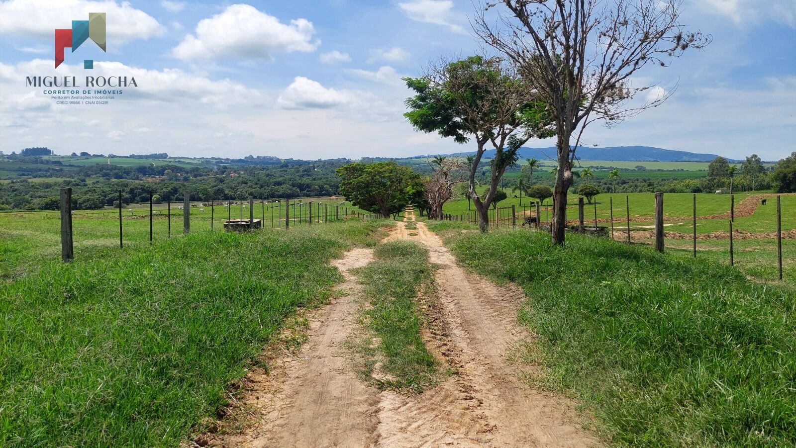 Fazenda à venda com 2 quartos, 919600m² - Foto 3