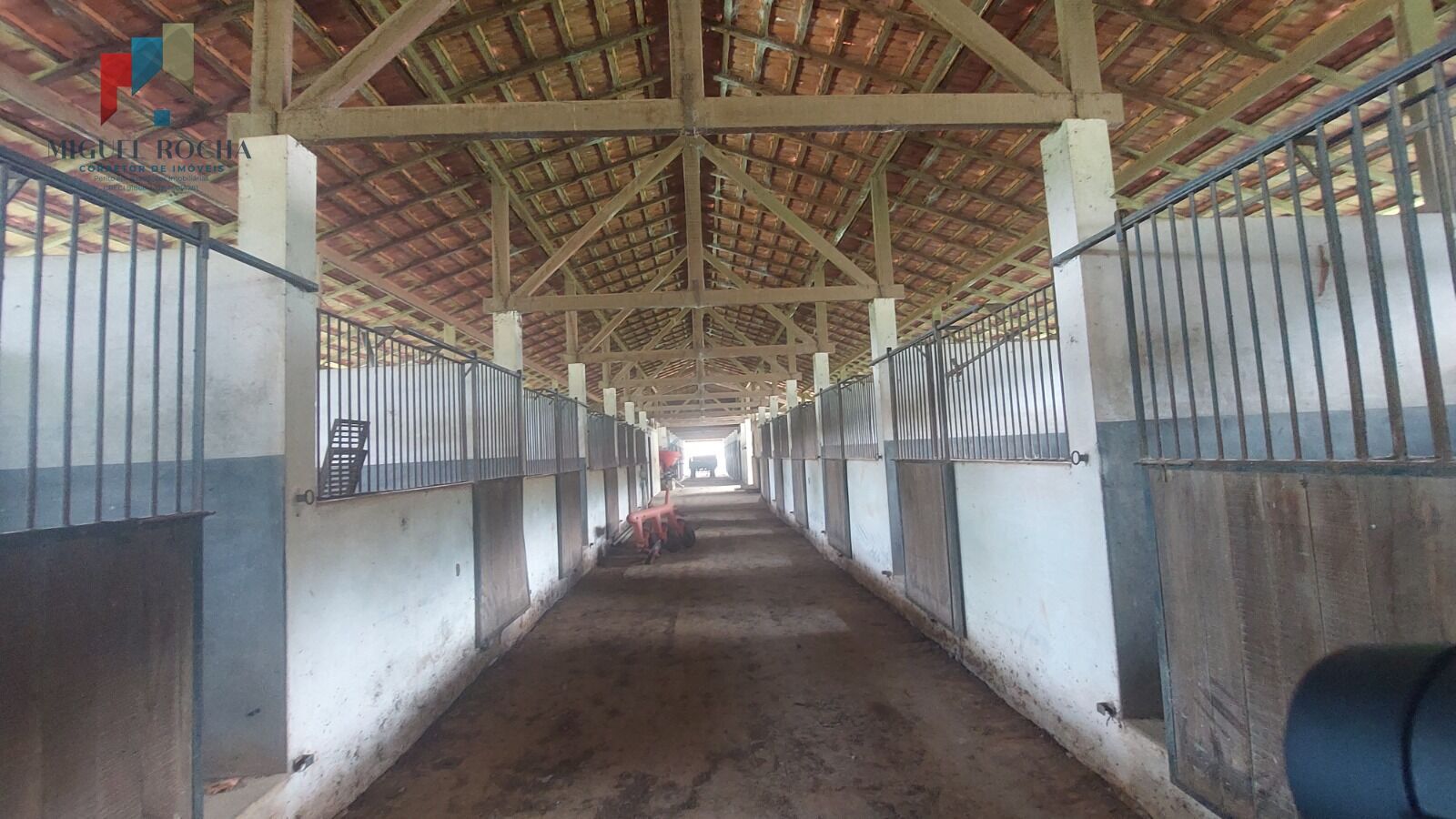 Fazenda à venda com 2 quartos, 919600m² - Foto 13