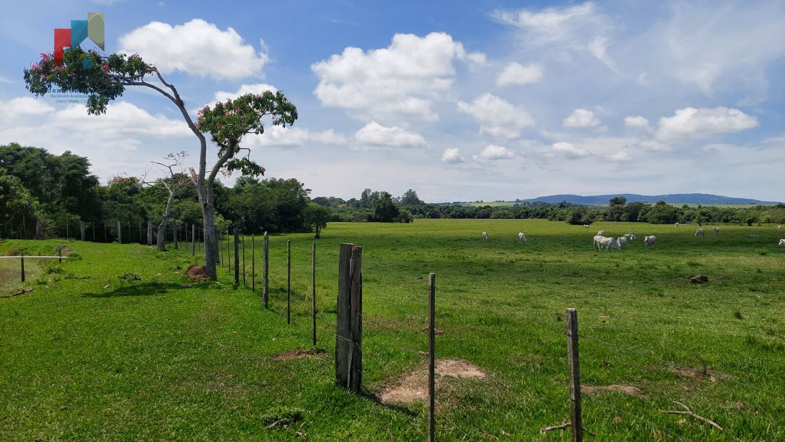 Fazenda à venda com 2 quartos, 919600m² - Foto 5