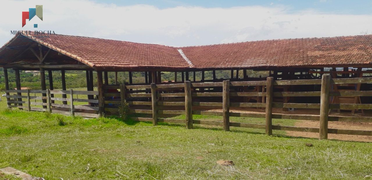 Fazenda à venda com 2 quartos, 919600m² - Foto 2