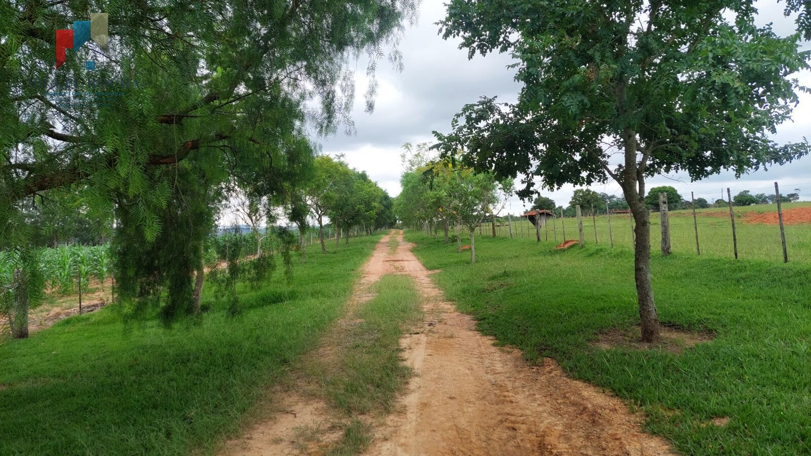 Fazenda à venda com 2 quartos, 919600m² - Foto 9