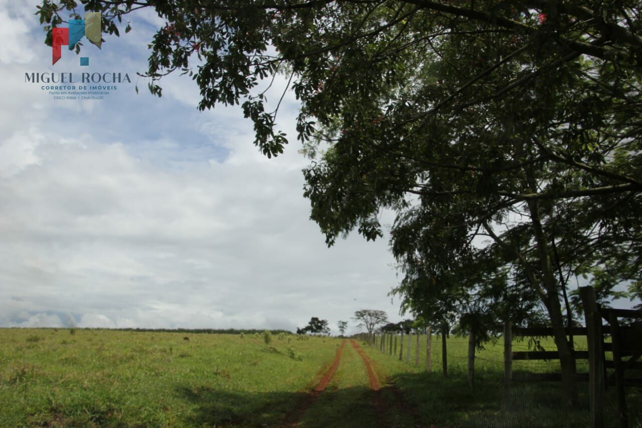 Fazenda à venda com 2 quartos, 90145m² - Foto 23