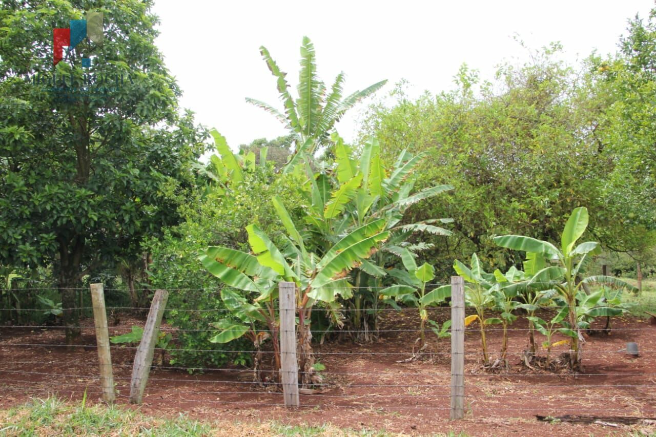 Fazenda à venda com 2 quartos, 90145m² - Foto 9