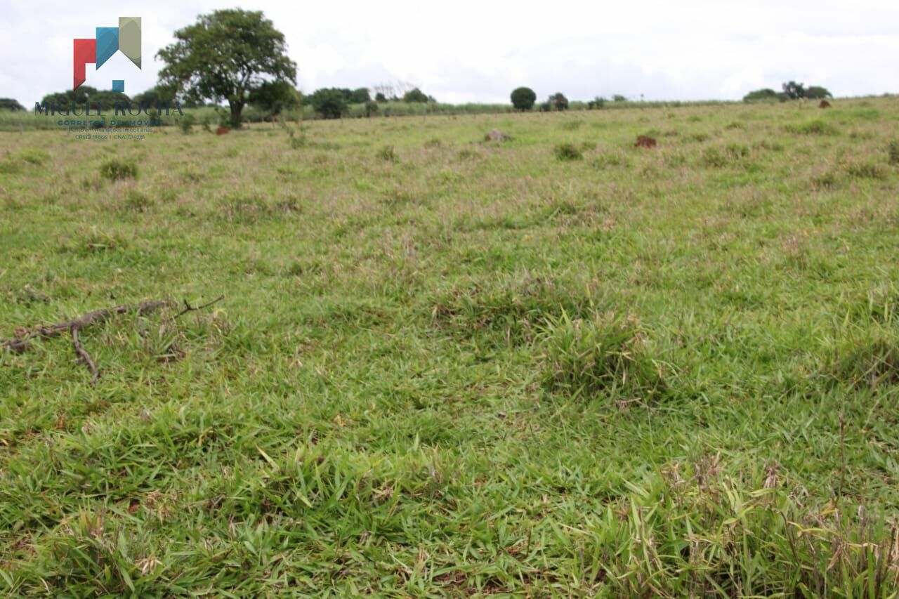 Fazenda à venda com 2 quartos, 90145m² - Foto 8