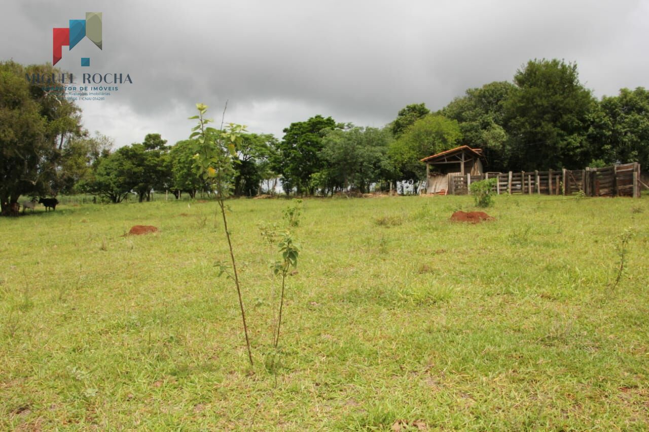 Fazenda à venda com 2 quartos, 90145m² - Foto 13