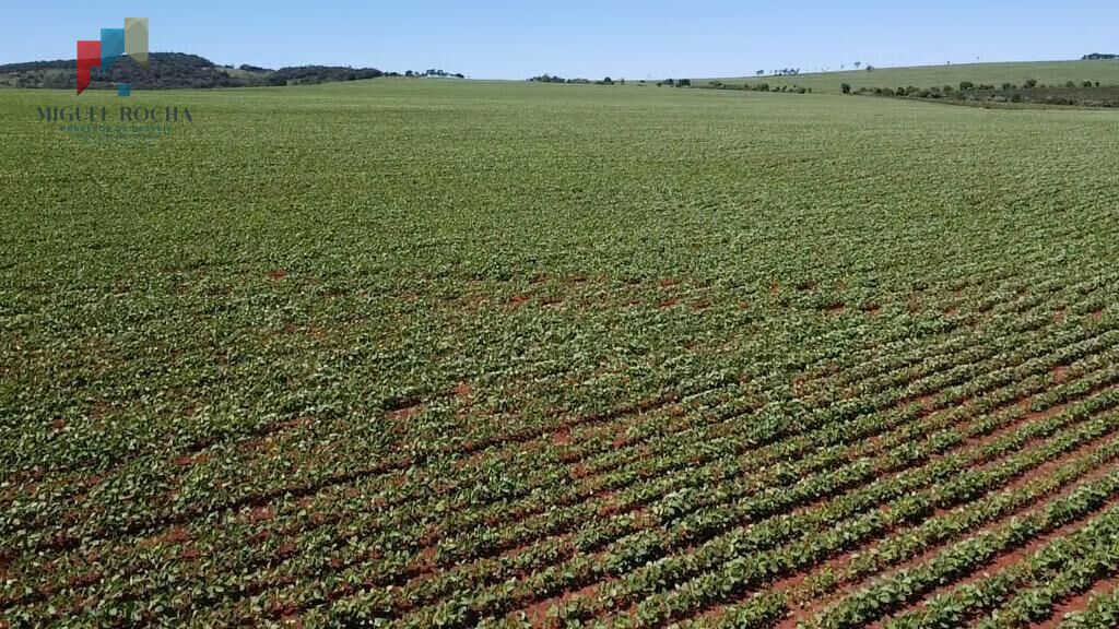 Fazenda à venda com 2 quartos, 1210000m² - Foto 7