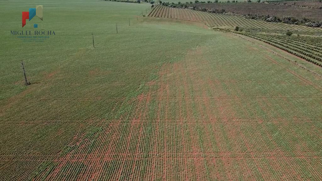 Fazenda à venda com 2 quartos, 1210000m² - Foto 9