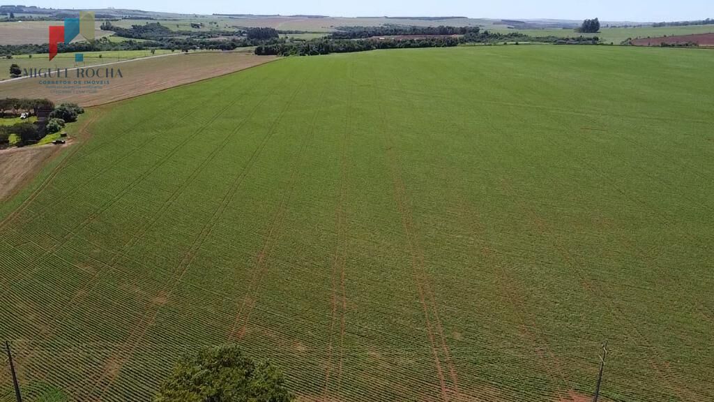 Fazenda à venda com 2 quartos, 1210000m² - Foto 10