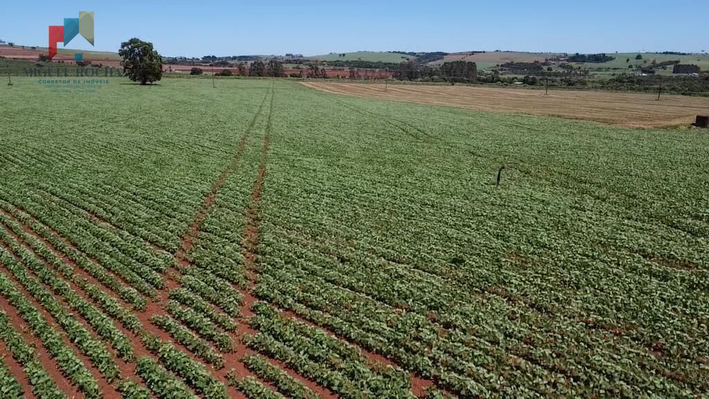 Fazenda à venda com 2 quartos, 1210000m² - Foto 6