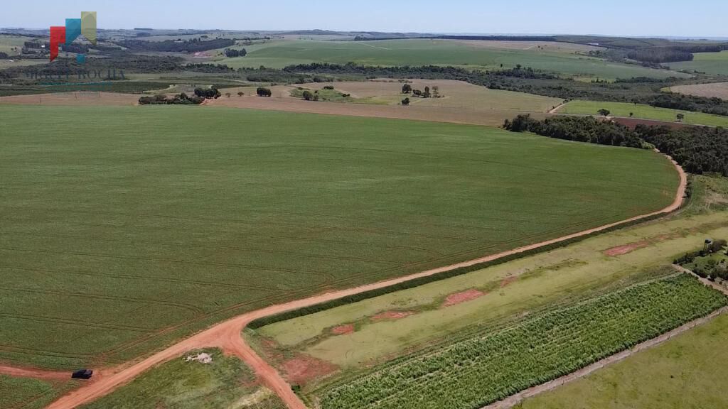 Fazenda à venda com 2 quartos, 1210000m² - Foto 8