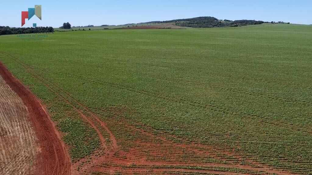 Fazenda à venda com 2 quartos, 1210000m² - Foto 4