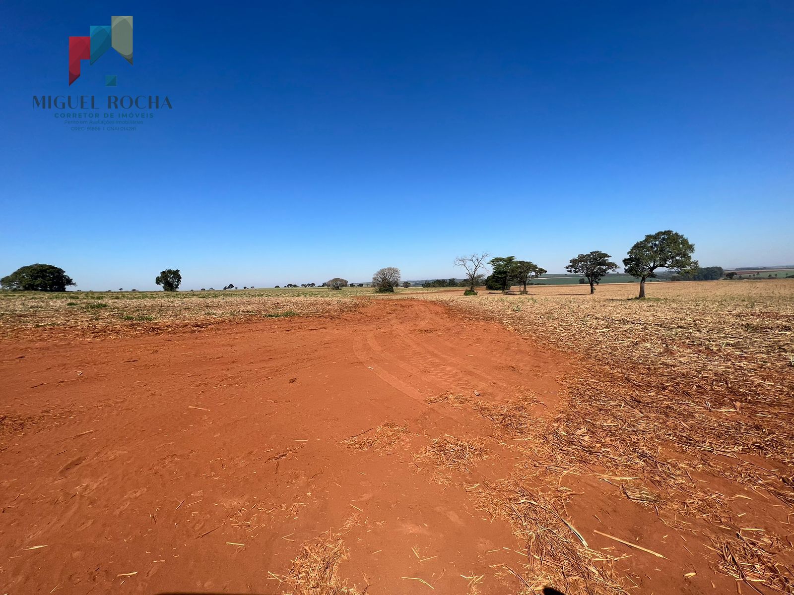 Fazenda à venda com 2 quartos, 4525400m² - Foto 6