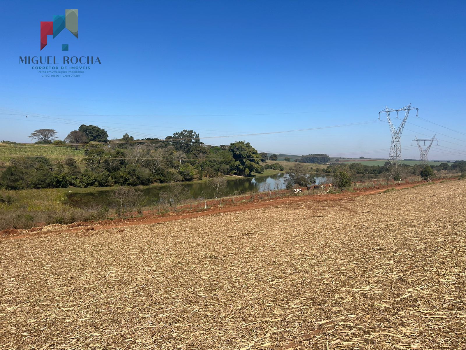 Fazenda região de Avaré SP