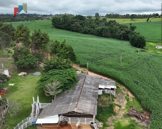 Fazenda à venda com 2 quartos, 427372m² - Foto 4