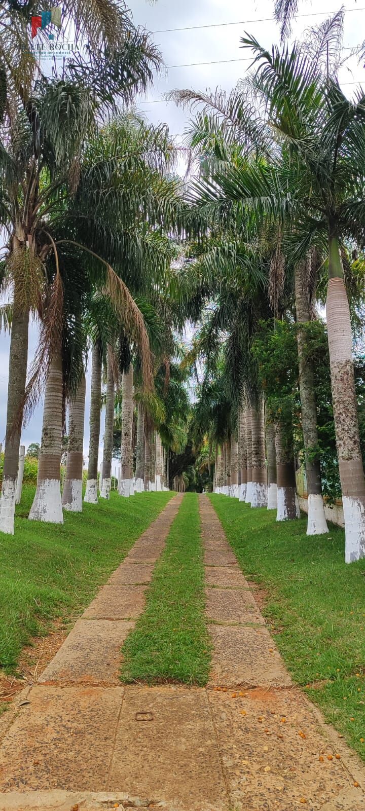 Fazenda à venda com 2 quartos, 427372m² - Foto 1