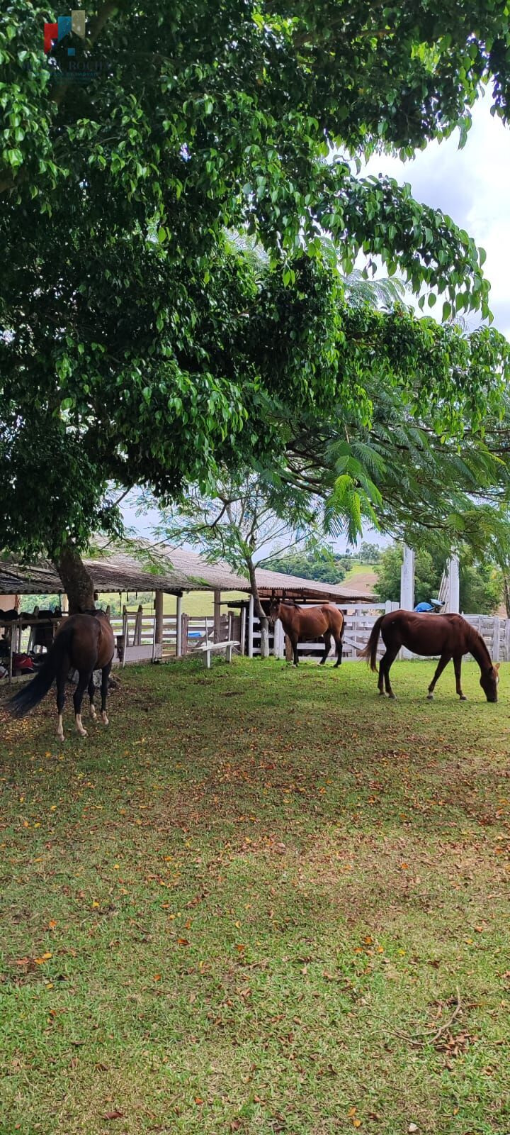 Fazenda à venda com 2 quartos, 427372m² - Foto 18