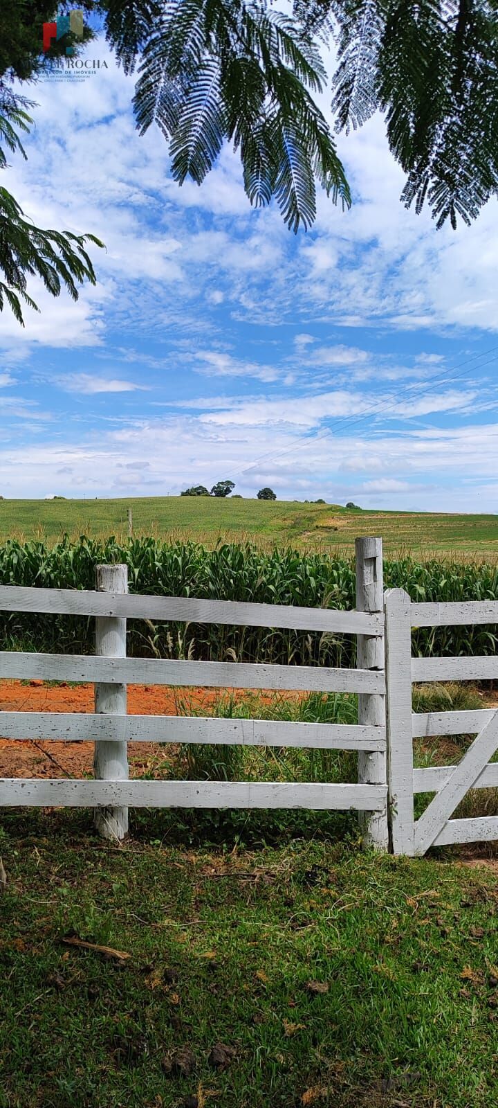 Fazenda à venda com 2 quartos, 427372m² - Foto 20