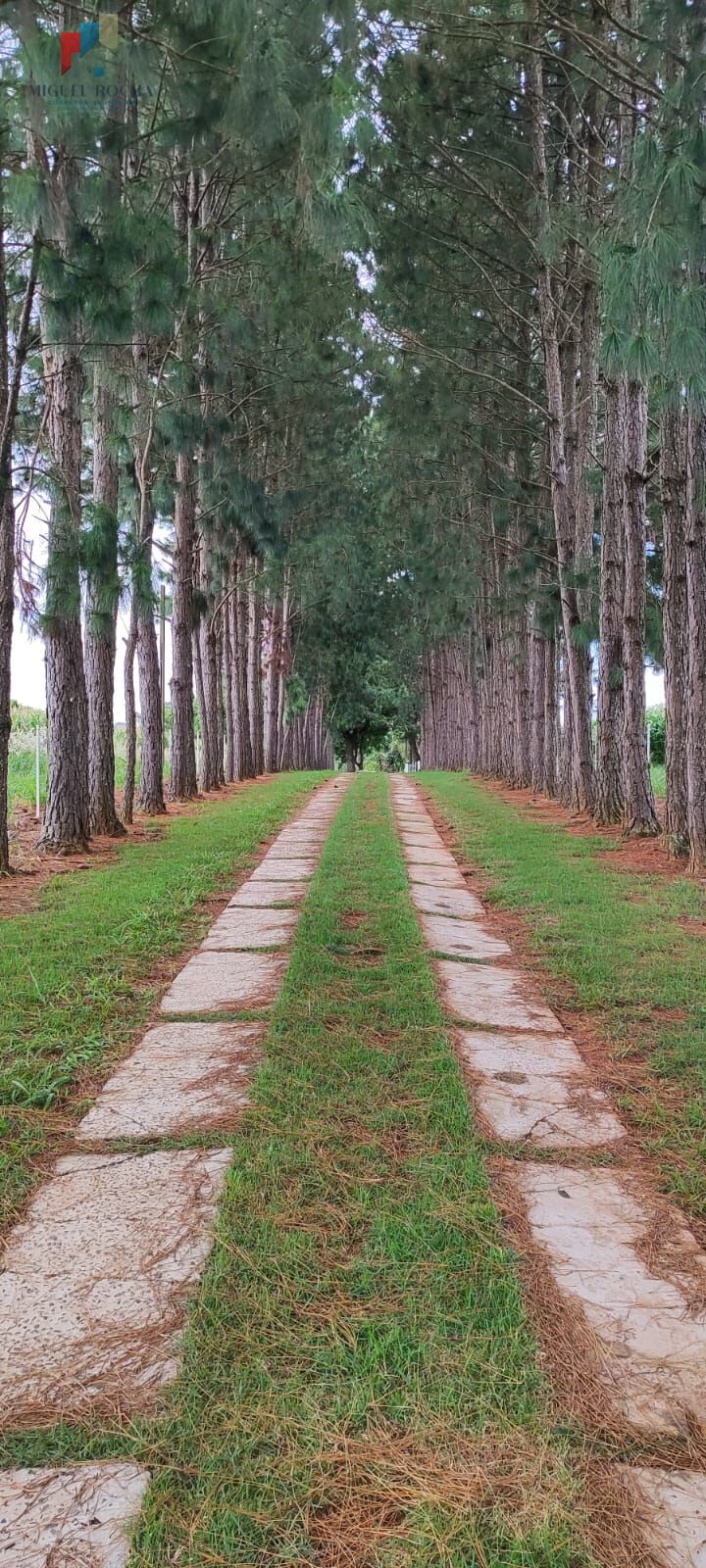 Fazenda à venda com 2 quartos, 427372m² - Foto 3