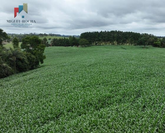 Fazenda à venda com 2 quartos, 427372m² - Foto 31