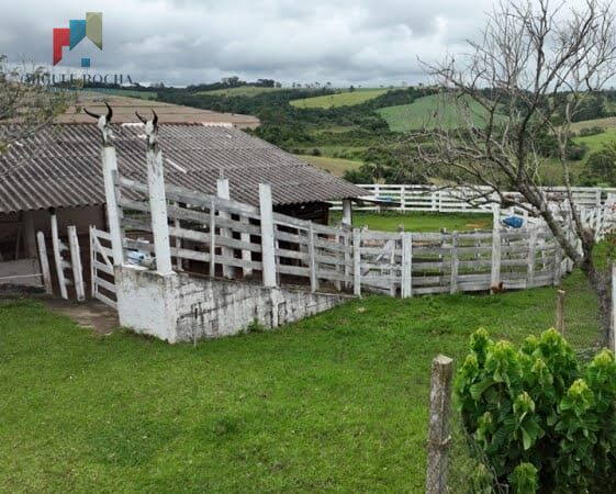 Fazenda à venda com 2 quartos, 427372m² - Foto 22