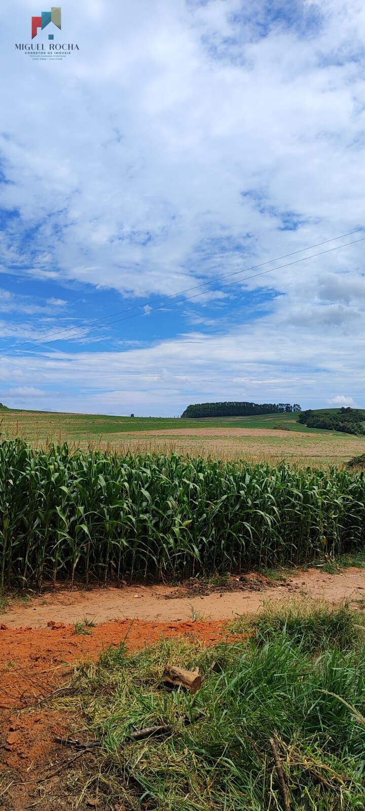 Fazenda à venda com 2 quartos, 427372m² - Foto 29