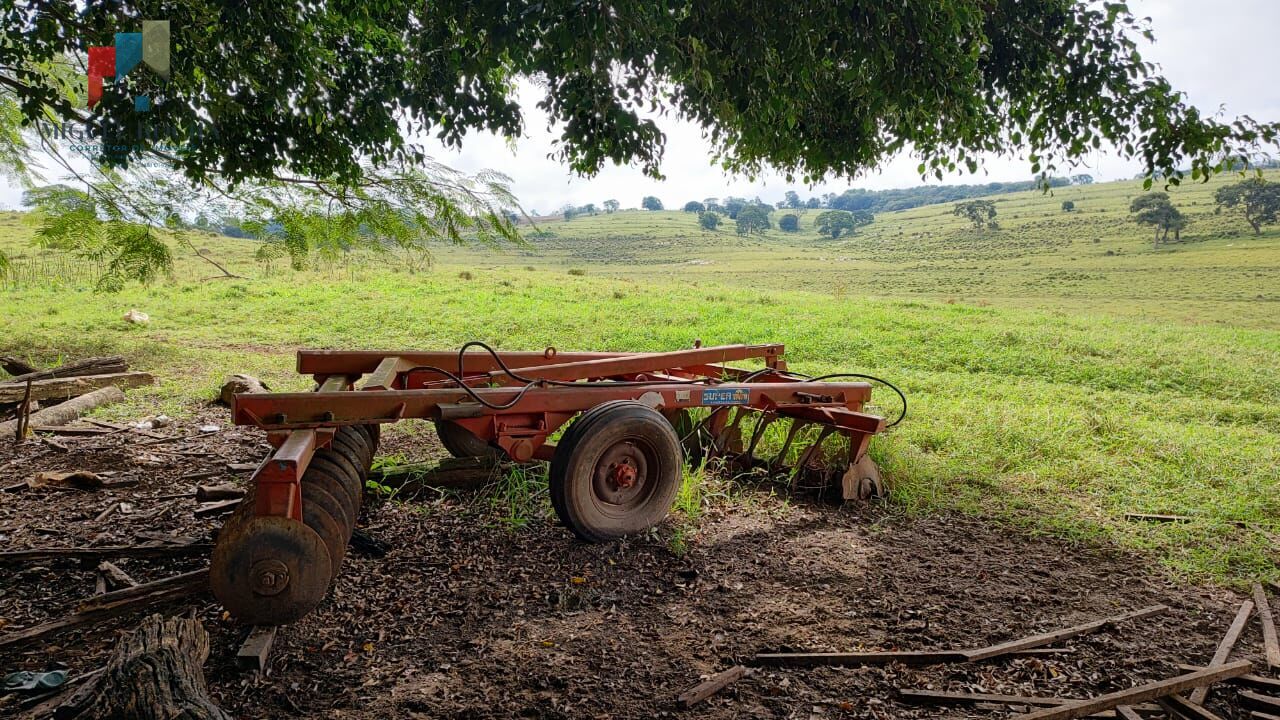 Fazenda à venda com 2 quartos, 1234200m² - Foto 9